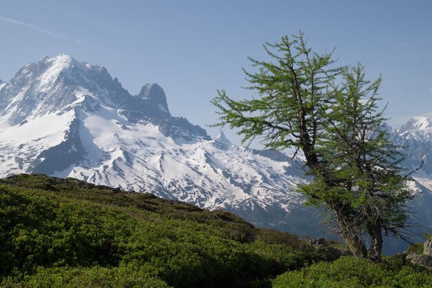 XAPaysage des Alpes françaises