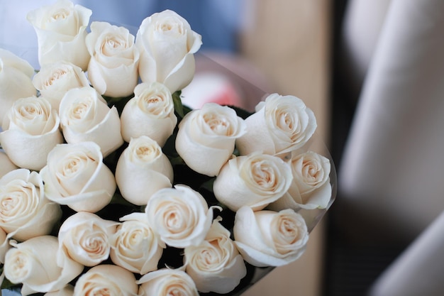 XARoses blanches comme cadeau pour une femme bien-aimée