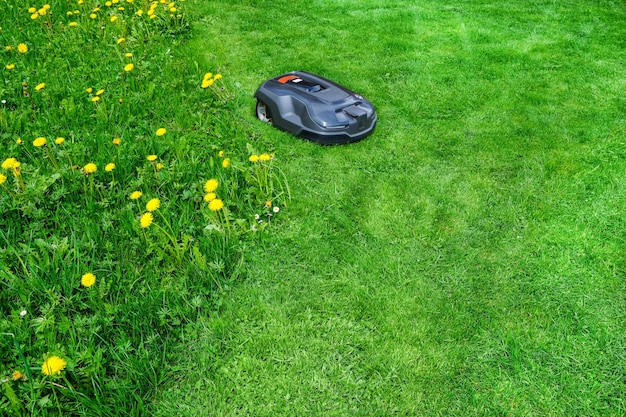 XDxAlawnmower robot sur fond d'herbe verte