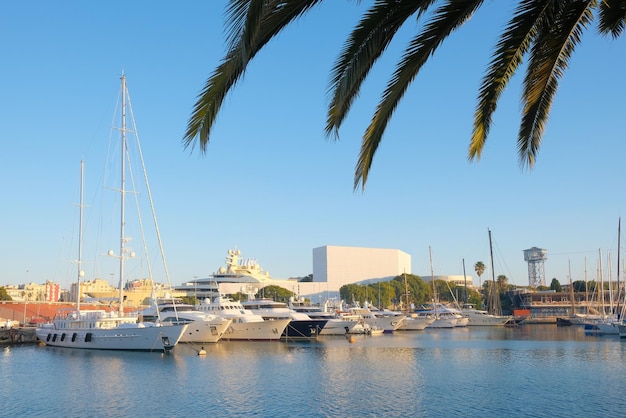 Yachts de luxe amarrés dans le port Concept de vacances Lifestyle