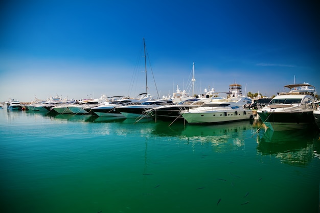 Yachts de luxe dans un port de Portals Nous à Majorque