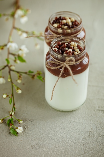 Yaourt Fait Maison Avec Mousse Au Chocolat Et Gouttes De Bonbons Au Chocolat Avec Branche De Printemps.