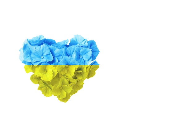 Yellowblue flowwer coeur symbole ukrainien isolé sur blanc