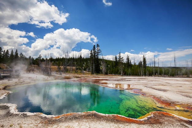 yellowstone