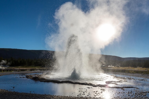 yellowstone