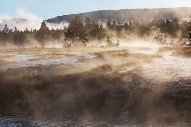 Photo yellowstone