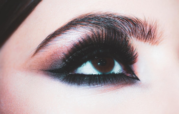 Yeux maquillés de près Gros plan de maquillage Sourcils longs cils Salon de beauté Bel œil féminin macro avec de longs cils et un maquillage fumé Sourcils parfaits Cosmétiques et visage de mode