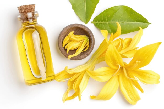 Photo ylang ylang l'huile essentielle de relaxation isolée sur blanc