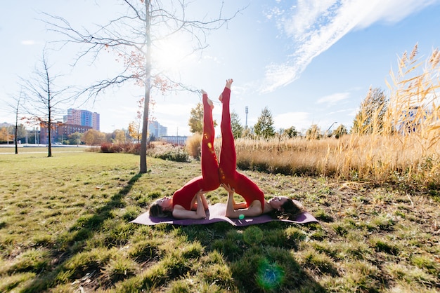 Yoga, femme, nature, soleil, herbe