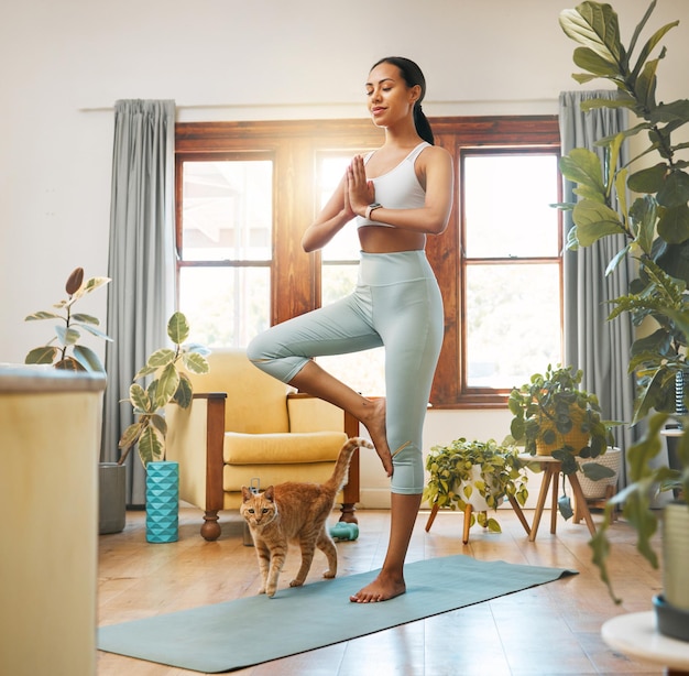 Yoga fitness femme et chat pour l'entraînement à la méditation et l'équilibre à la maison dans le salon bien-être et santé holistique Personne biraciale médite la prière ou la pose d'arbre dans l'entraînement pilates pour la guérison