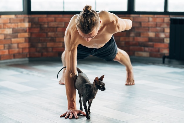 Yoga pour animaux de compagnie. s'entraîner avec vos animaux peut être amusant. fit un yogi fort en bonne santé essayant de faire de l'exercice avec son chat sphynx.