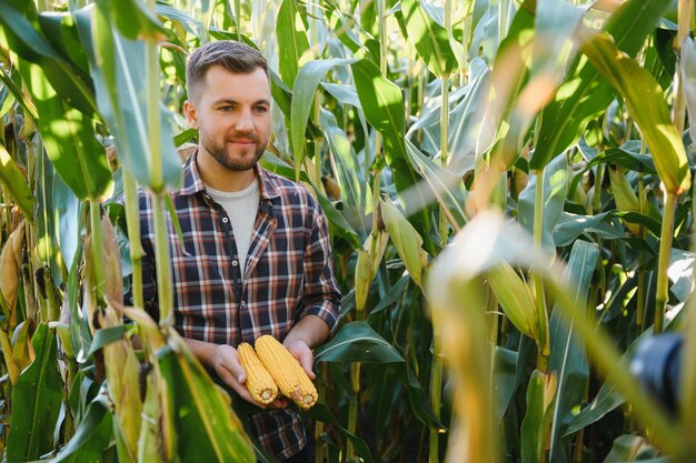 Yong bel agronome dans le champ de maïs et examinant les cultures avant la récolte. Notion d'agro-industrie. ingénieur agronome debout dans un champ de maïs.