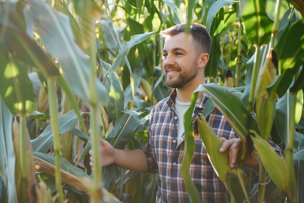 Yong bel agronome dans le champ de maïs et examinant les cultures avant la récolte. Notion d'agro-industrie. ingénieur agronome debout dans un champ de maïs.