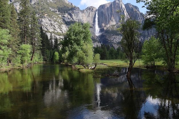 Yosemite au printemps