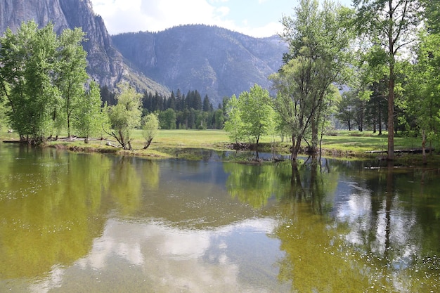 Yosemite au printemps