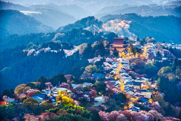 Photo yoshinoyama japon