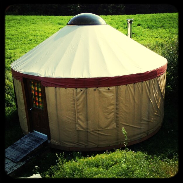 Yurt dans un parc