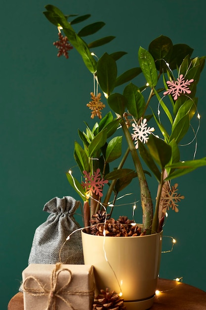 Zamioculcas décoré de gerland et de jouets en bois Sapin de Noël fabriqué à partir de plantes d'intérieur Coffrets cadeaux emballés dans du papier Concept de Noël écologique