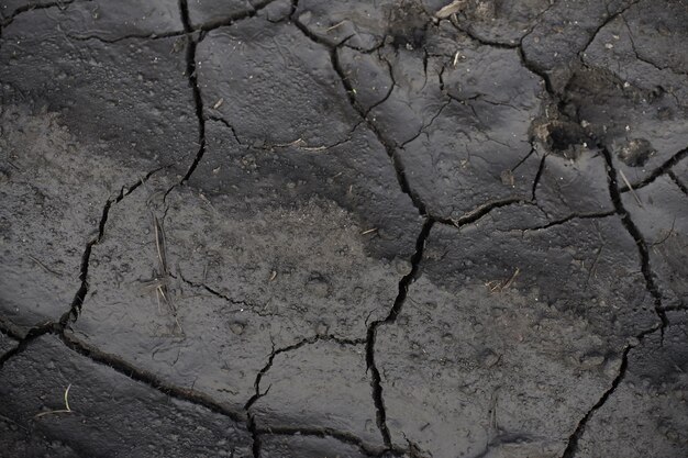 Zigzag de crack sol dans une terre sèche