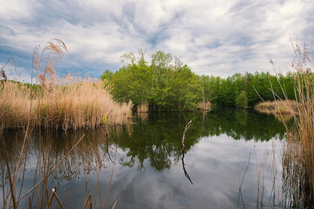 Zone humide Haff Reimech au Luxembourg réserve naturelle de l'habitat marécageux et étang biotope avec roseau