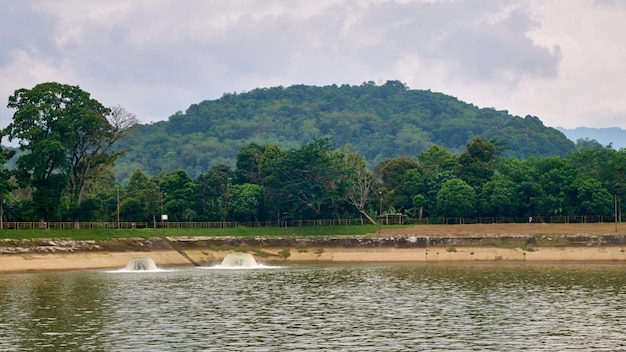 Zone de localisation dans le réservoir d'eau de la centrale électrique