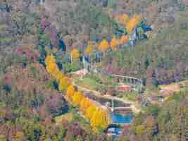 Photo zone panoramique du lac de wuhan mulan paysage de fin d'automne