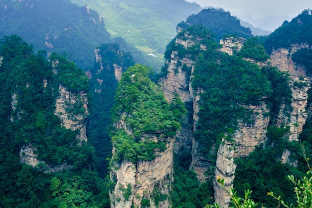 Zone panoramique du site panoramique national de Zhangjiajie Wulingyuan Forme de relief en grès Patrimoine naturel mondial