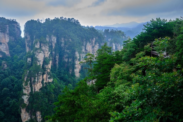 Zone panoramique du site panoramique national de Zhangjiajie Wulingyuan Forme de relief en grès Patrimoine naturel mondial