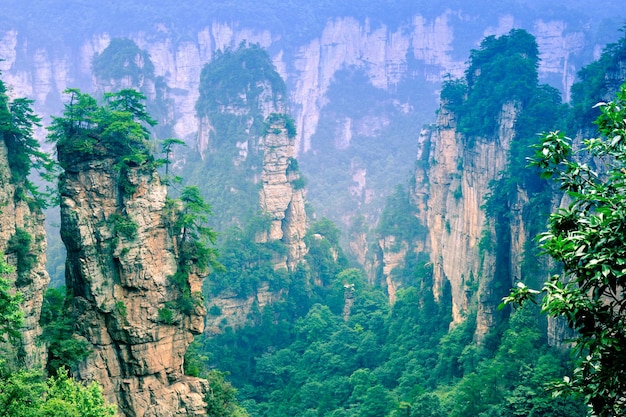 Zone panoramique du site panoramique national de Zhangjiajie Wulingyuan Forme de relief en grès Patrimoine naturel mondial