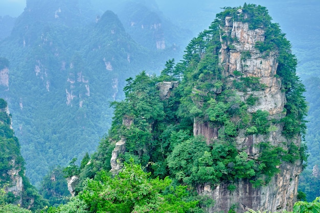 Zone panoramique du site panoramique national de Zhangjiajie Wulingyuan Forme de relief en grès Patrimoine naturel mondial