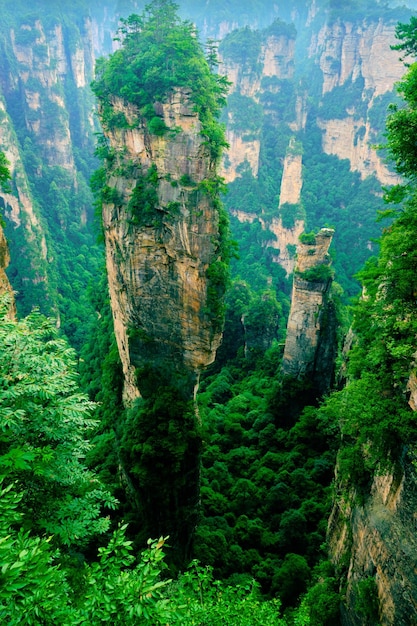 Zone panoramique du site panoramique national de Zhangjiajie Wulingyuan Forme de relief en grès Patrimoine naturel mondial