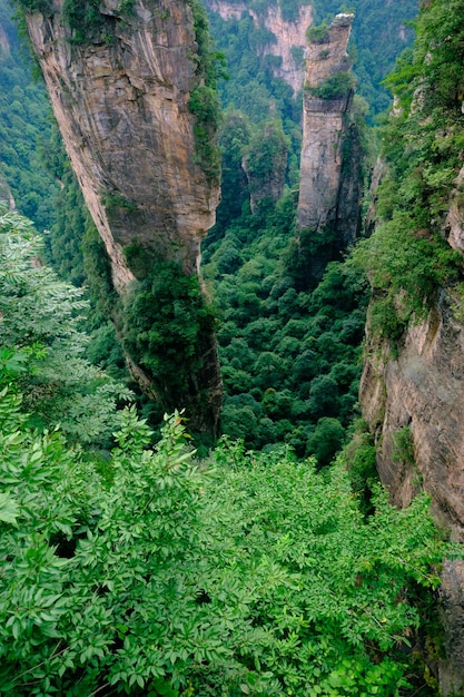 Zone panoramique du site panoramique national de Zhangjiajie Wulingyuan Forme de relief en grès Patrimoine naturel mondial