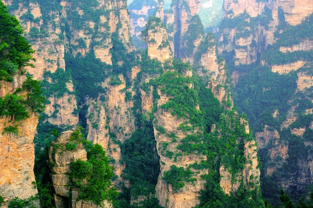Zone panoramique du site panoramique national de Zhangjiajie Wulingyuan Forme de relief en grès Patrimoine naturel mondial