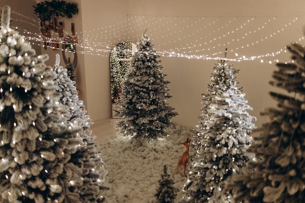 Zone de photo du Nouvel An avec de la neige près d'un café boulangerie Décoration de Noël jouets arbres de Noël banc guirlande ampoules rougeoyantes image d'ambiance festive pour carte postale
