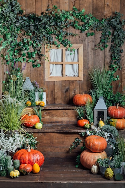Zone photo pour halloween avec des citrouilles aux attributs festifs sur une table en bois rustique avec décor et gree