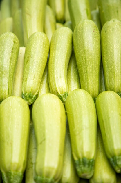 Zucchini