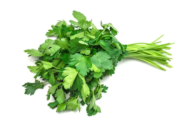 A bunch of parsley isolated on white background