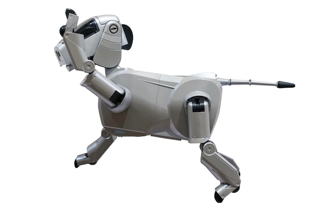 A robot dog isolated on whte