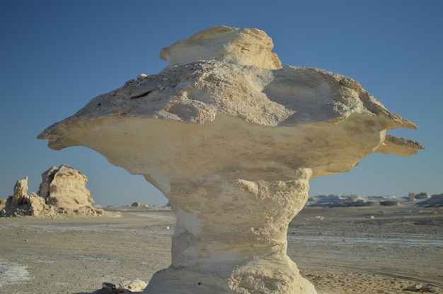 a rock formation with a tree in the middle of it