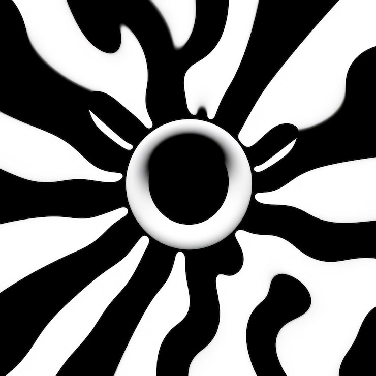 Foto abstract black and white radial design