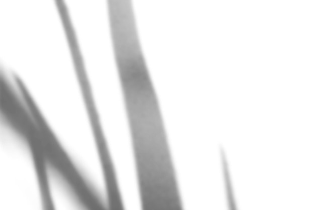 Aesthetic shadow overlay