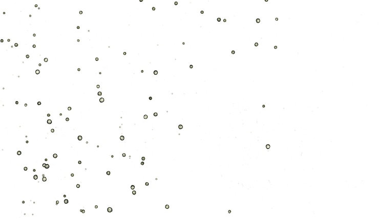 Foto art spot abstraction texture and background of abstract art bubbles and spots alcoholic ink and watercolor modern and new style