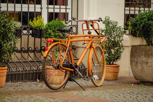 bicycle parked against plants