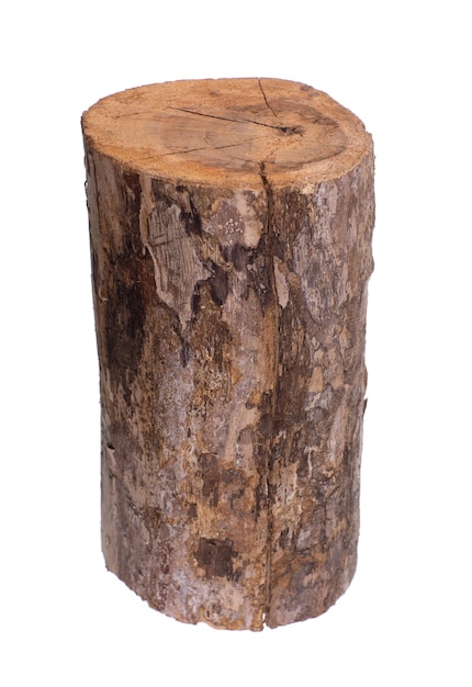 birch dry log isolated on white background