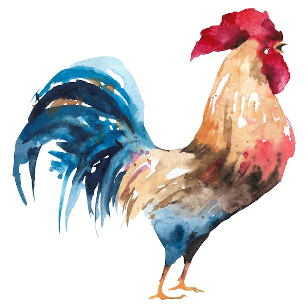 Brightcolored rooster Handdrawn illustration Watercolor painting Rooster on a white background Cockerel crows