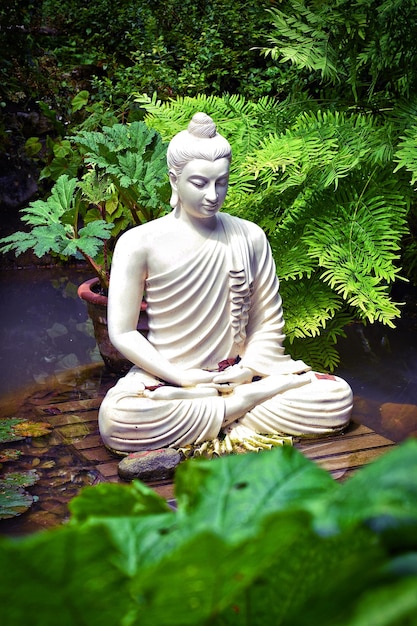 Buddha-statue mot planter
