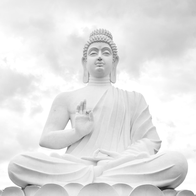 Buddha Worshiper of Non Violence