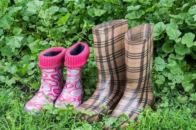 Children and adults rubber boots in the grass