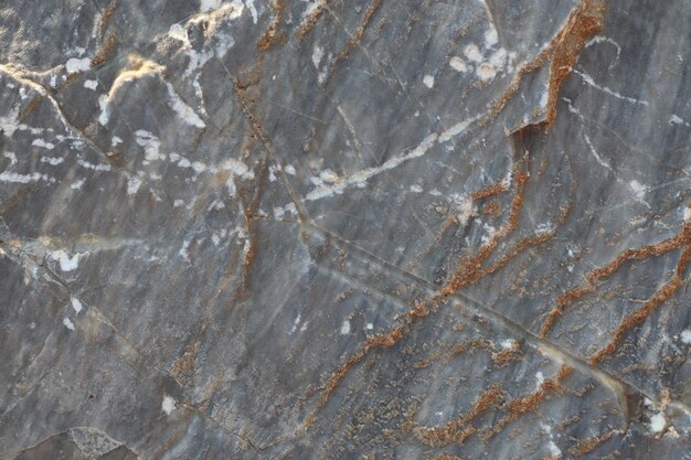 Close-up of a gray rock surface with veins and textures