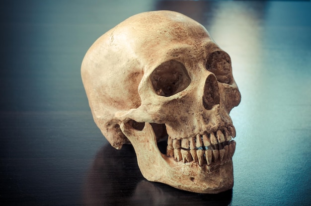 close-up of human skull on table
